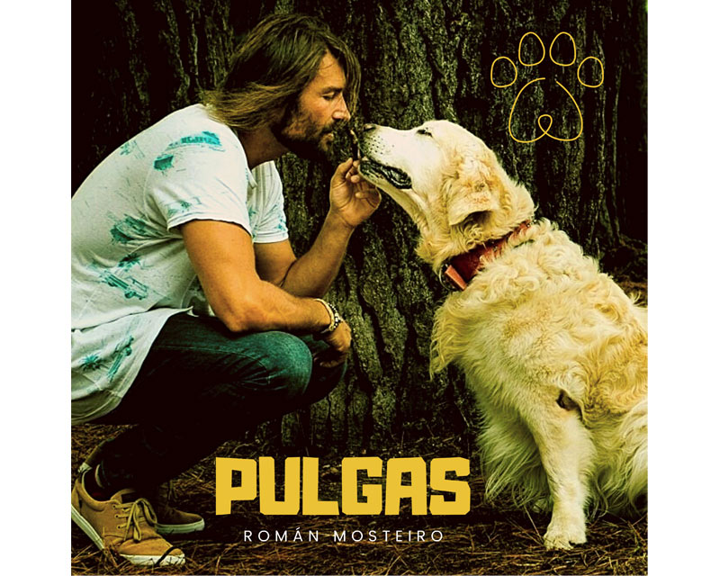 Pulgas nuevo single Román Mosteiro